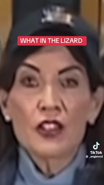 The lizards on TV news, can you see them?