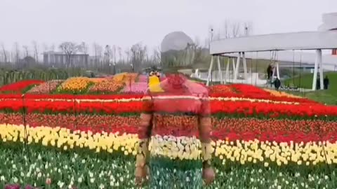 🎨🧍‍♂️ The Invisible Man Artist Blends Into Nature & City! | FeedMyCuriosity