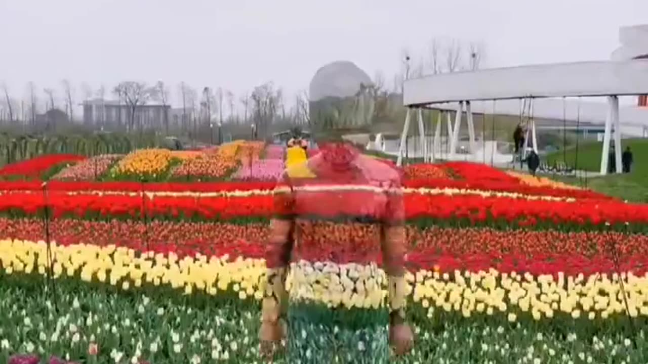 🎨🧍♂️ The Invisible Man Artist Blends Into Nature & City! | FeedMyCuriosity