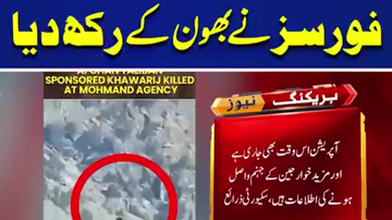 پاکستان میں گھسنے والے طالبان کو فورسز نے بھا کے رکھ دیا