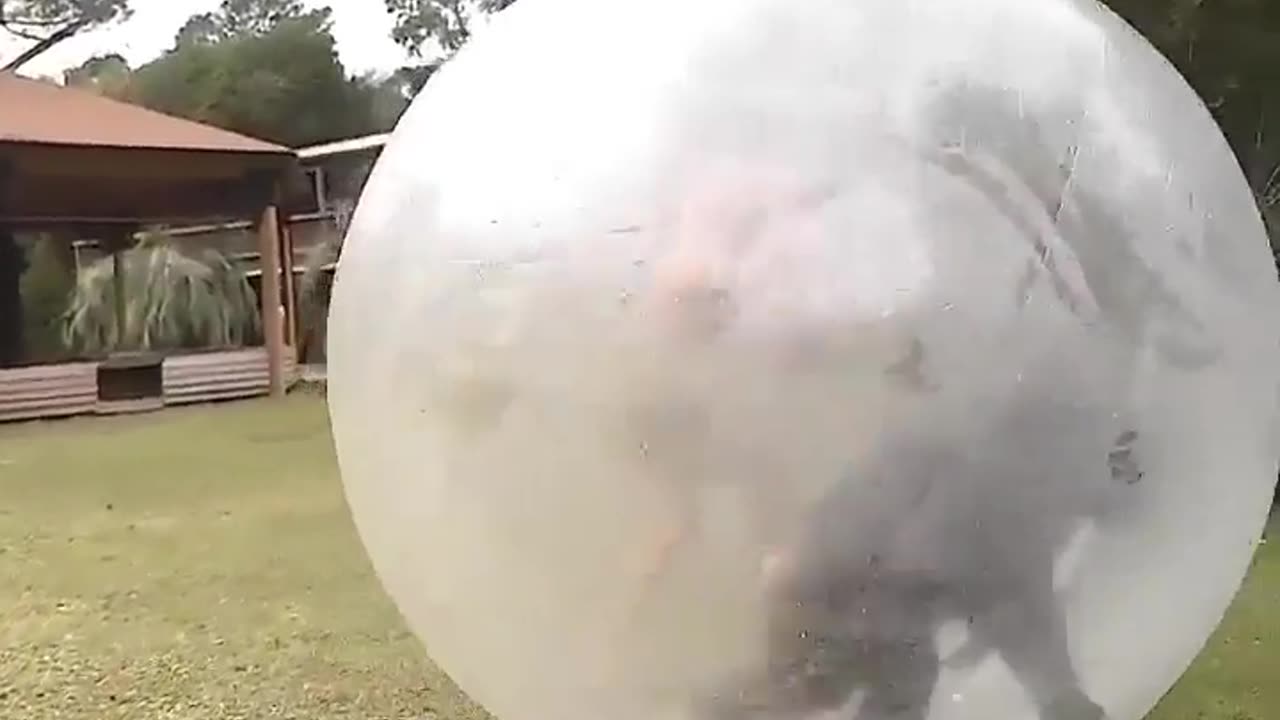 🤯🐒 Watch A Chimp Try To Pop A Bubble All Around Him! | FeedMyCuriosity