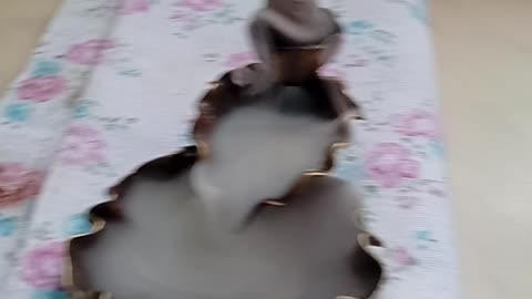 Art live 🪷🍄✏️