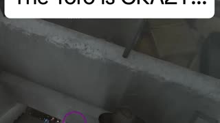 The Toro is CRAZY!!! | ARC Raiders #gaming #arcraiders #arc