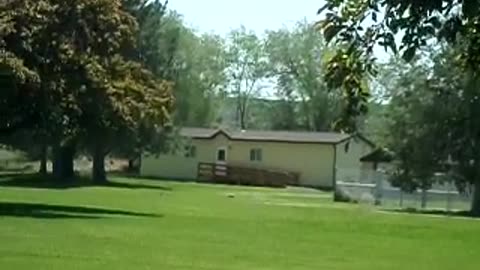 More marmots, more woodchucks chucking grass, more whistle pigs being cute!