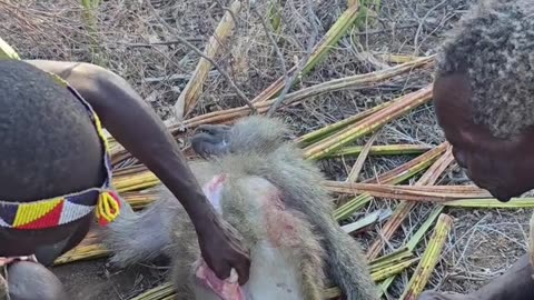 Hadzabe Prepare Baboon Meat..