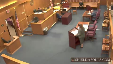 American State National v. Court System FLORIDA