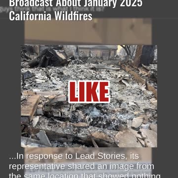 Fact Check: Weather Channel Did NOT Show Human Remains On Live Broadcast About Jan. 2025 Wildfires