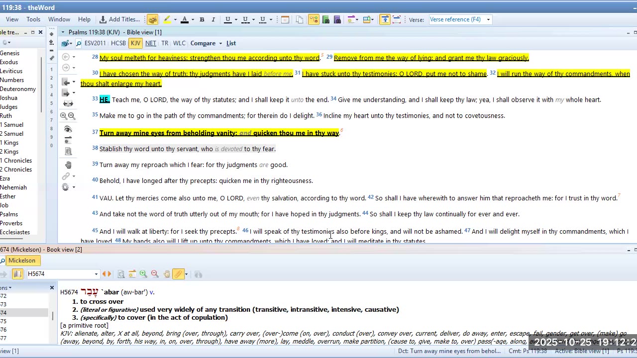 Bible Study Psalms 119 Pt 2