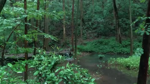 The streams and rain in the valley