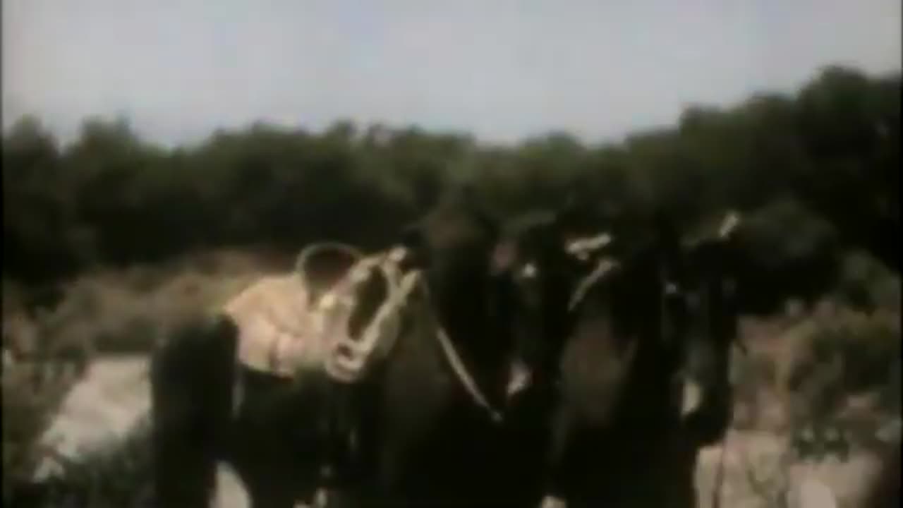 TERREUR DANS LA VILLE