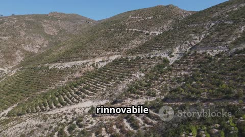 Scopri le Meraviglie del Legno di Cipresso