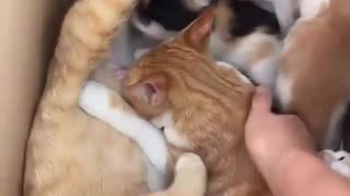 🤯😲 Wait For The Ending... You Won't Believe This! | FunFM
