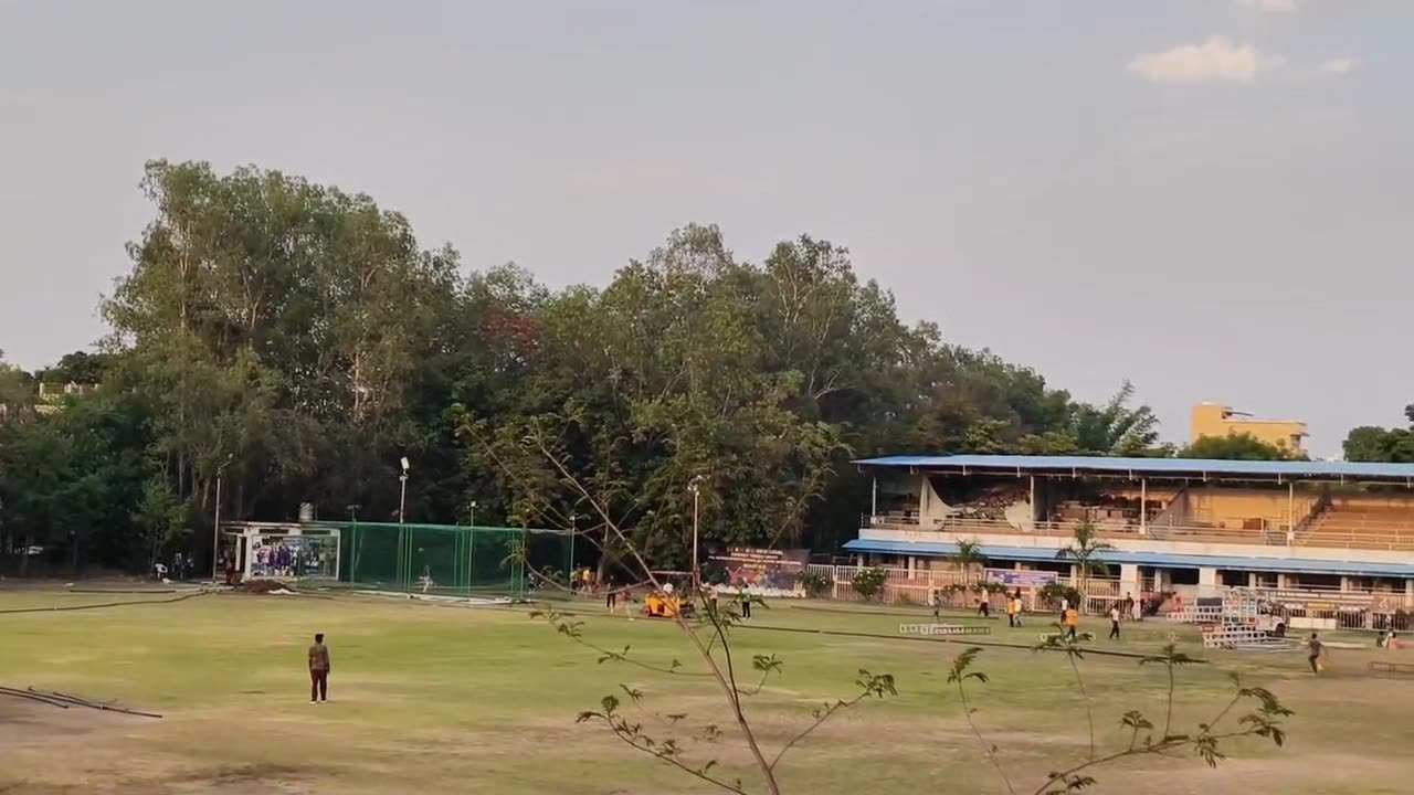 Cricket lover