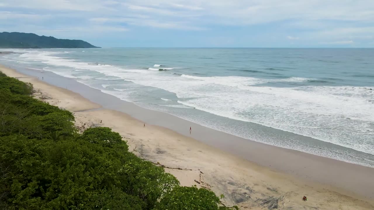 "Exploring Costa Rica's Wildlife in Stunning 8K HDR 🌿🐗 😍 Live