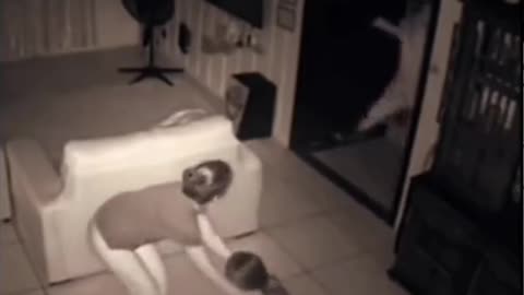 😱👻 What Just Happened? | TheHauntingHour