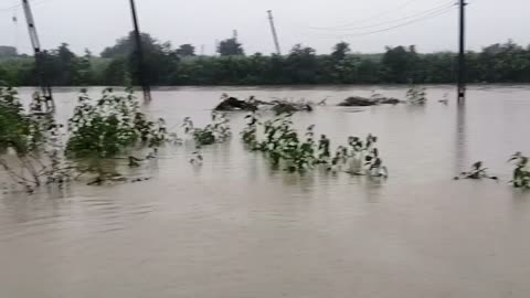 Gujarat village in free swimming pool 🥽