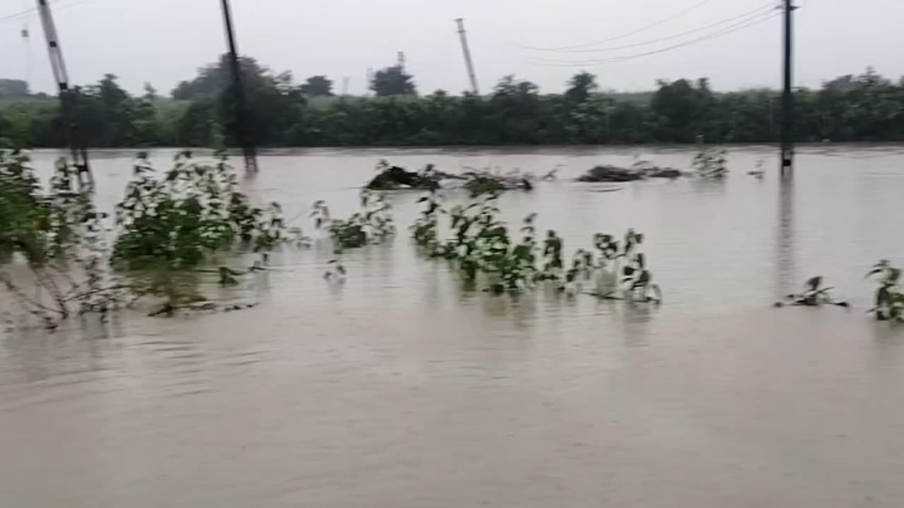 Gujarat village in free swimming pool 🥽