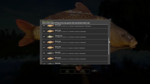 Task Catch a total weight of 30 KG of any CARP, Stage 6 Completed MMXXV, Russian Fishing 4 PC game