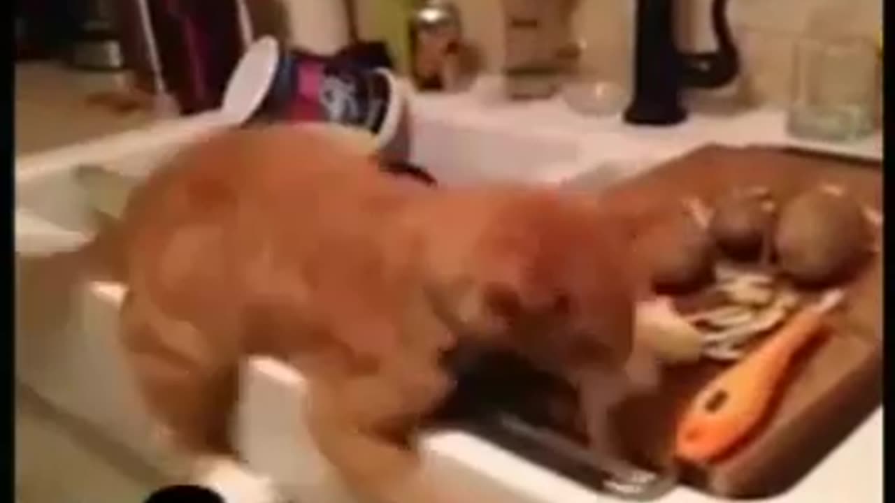 Funny Cute Crying Laughing