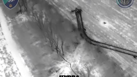 Ukrainian Marines Observe Russian Tank Crew in Crisis-Mode