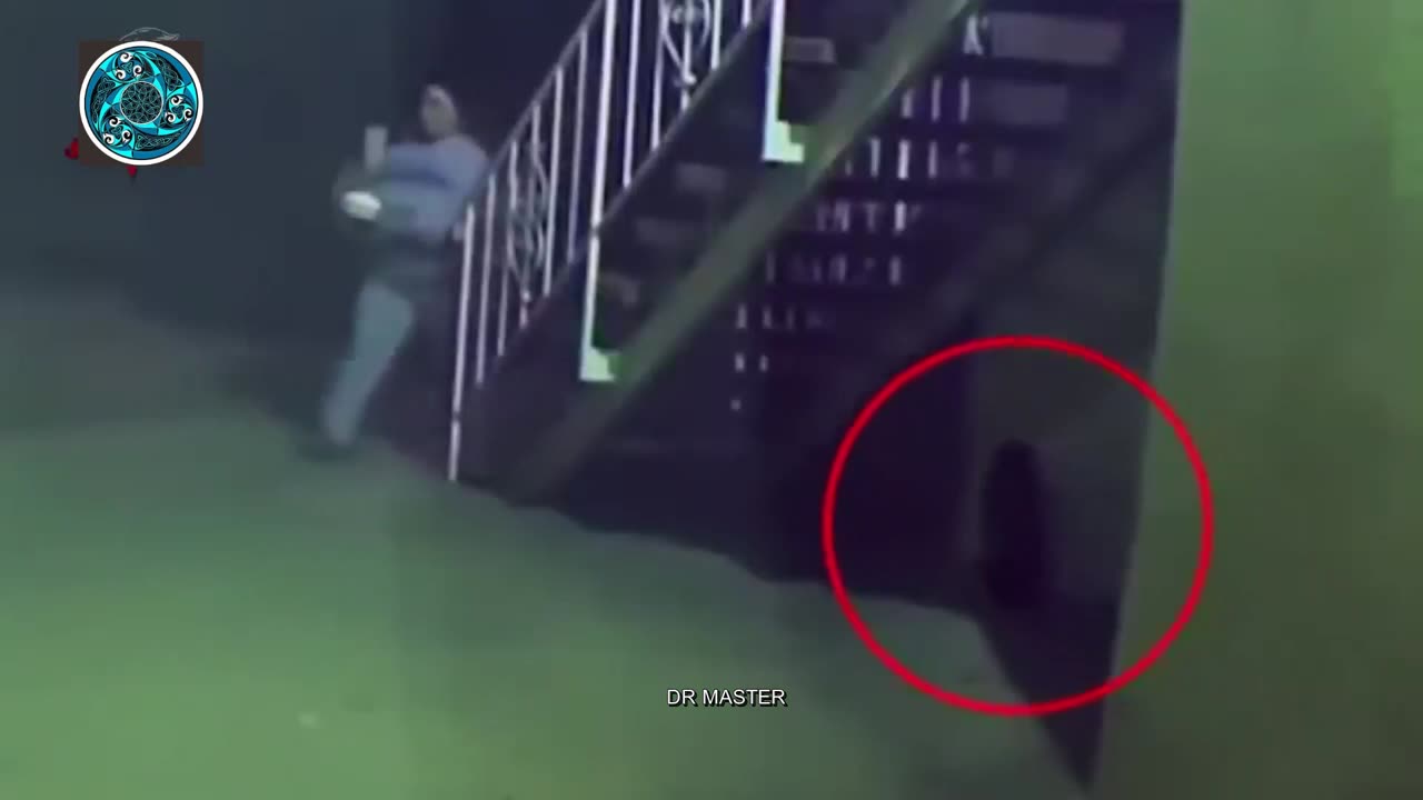 #top mystery things cought in camira 1