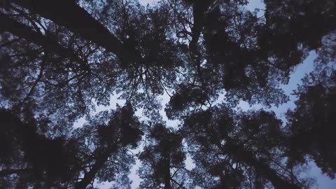 "Motivation comes from working on things we care about."