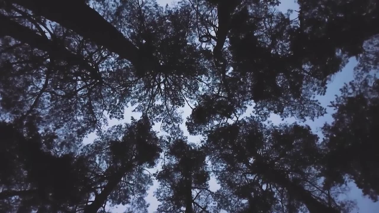 "Motivation comes from working on things we care about."