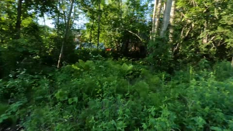 🚶2024🍁 Hiking 4 Different Trails In The Greenbelt Of Ottawa & Exploring The Nature In Every Season 💦 Canada 🍀🍃