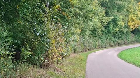 We cannot have a cast/class-based society and, simultaneously, democracy.