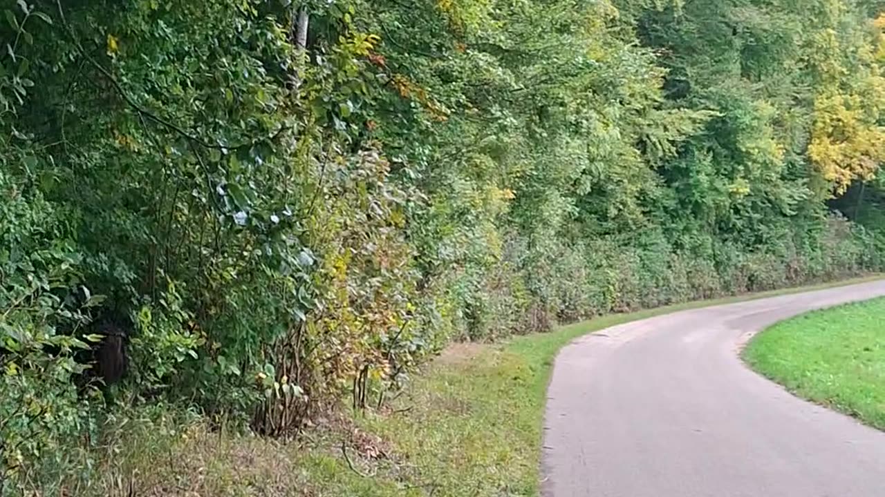 We cannot have a cast/class-based society and, simultaneously, democracy.