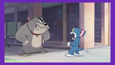 new cat video cartoon