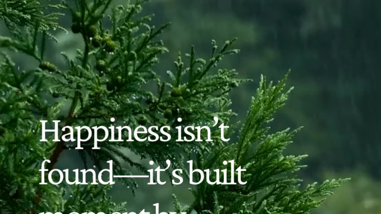 Happiness Isn’t Found — It’s Built, One Moment at a Time 💭✨