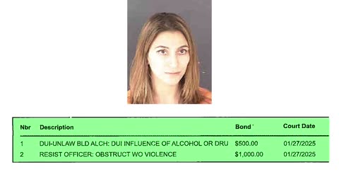 Lady Thinks It’s Illegal For Police To Read Her Plate