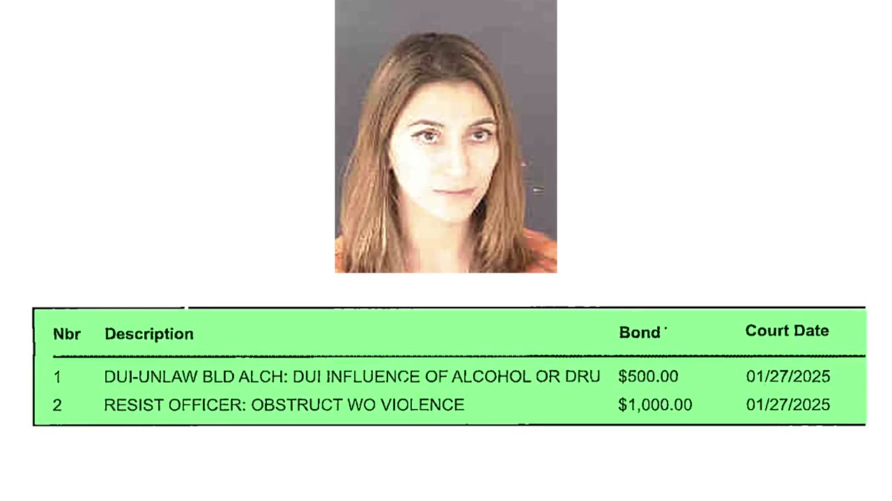 Lady Thinks It’s Illegal For Police To Read Her Plate