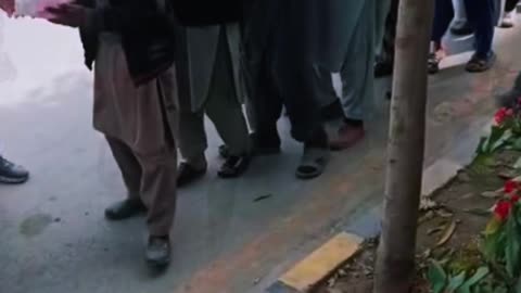 From 100 Subscribers to 100 Meals