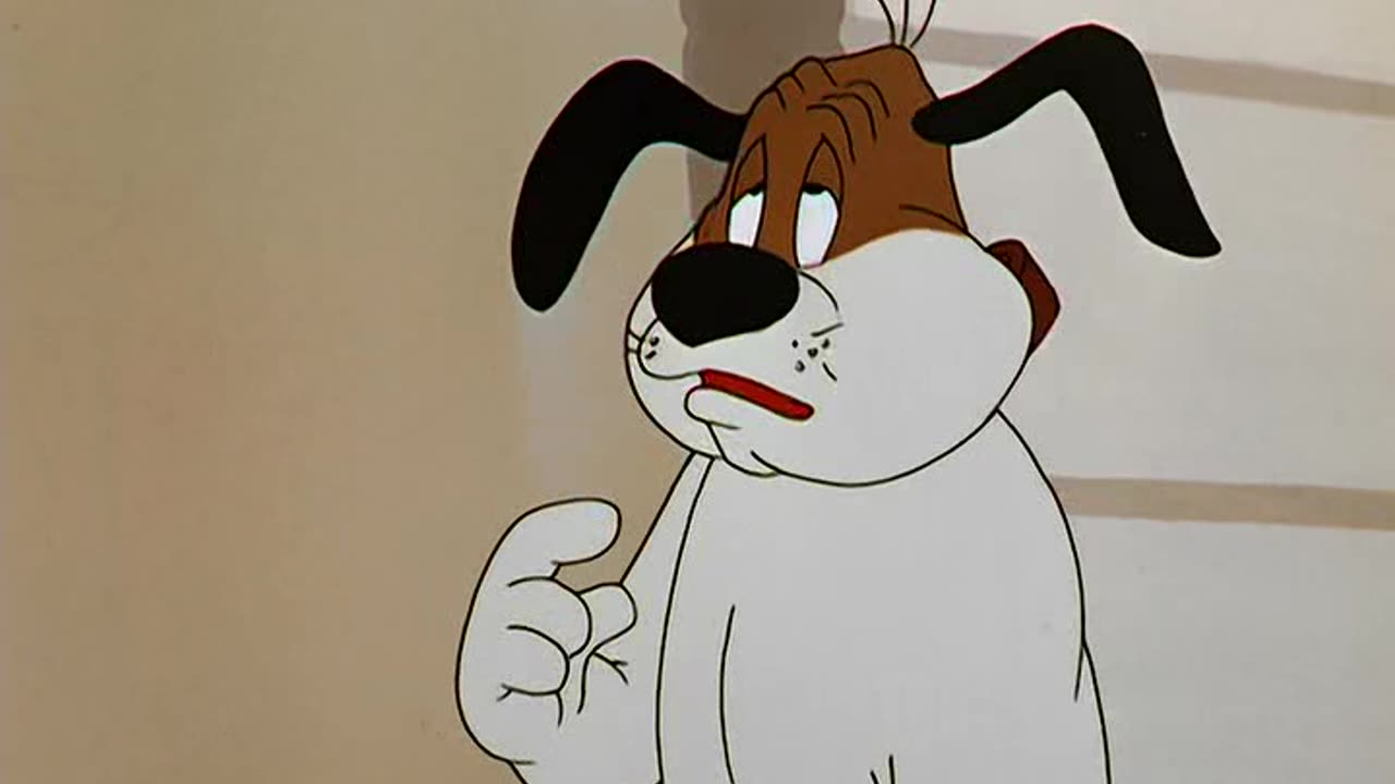 LT looney toons (1952) E8