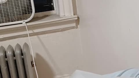 A day in Lower Manhattan immigration court leaves family with a brutal choice