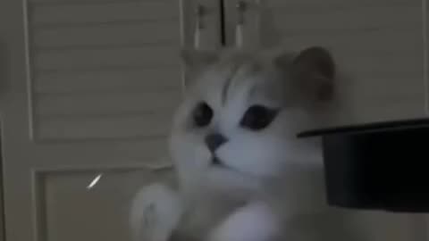 Tasty dust particles