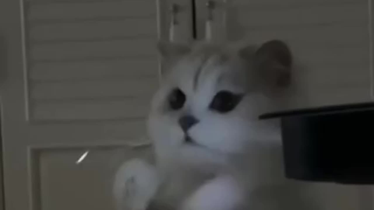 Tasty dust particles