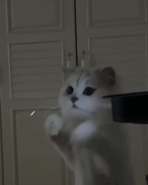 Tasty dust particles