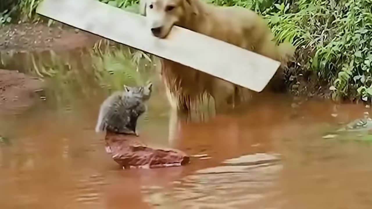 help each other