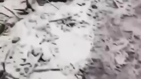 Masses of Froxen Russian Soldiers Filling Up Trenches