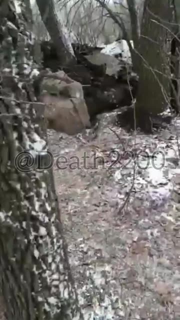 "Wake Up! It's Time for the Assault."