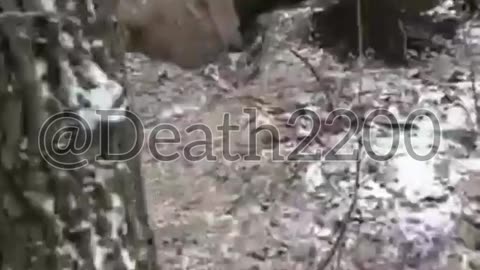 "Wake Up! It's Time for the Assault."