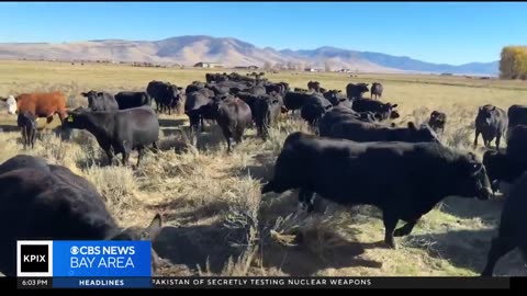 Rural California voters worried about representation if Prop 50 passes