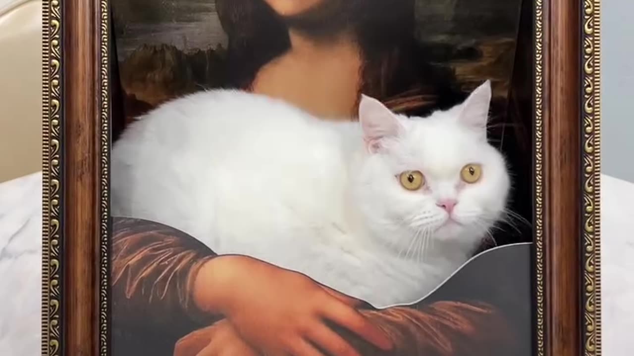 Kitty art