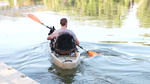 Babies & Protection Dogs on The River