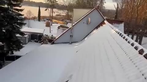 Snowy roof