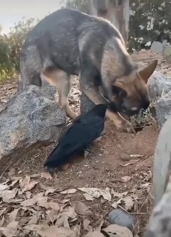 Best friends come in all shapes and sizes