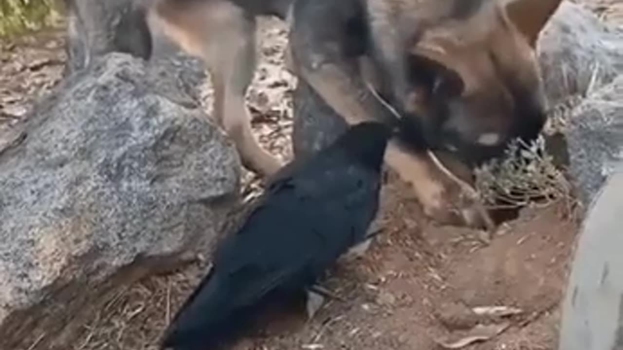 Best friends come in all shapes and sizes